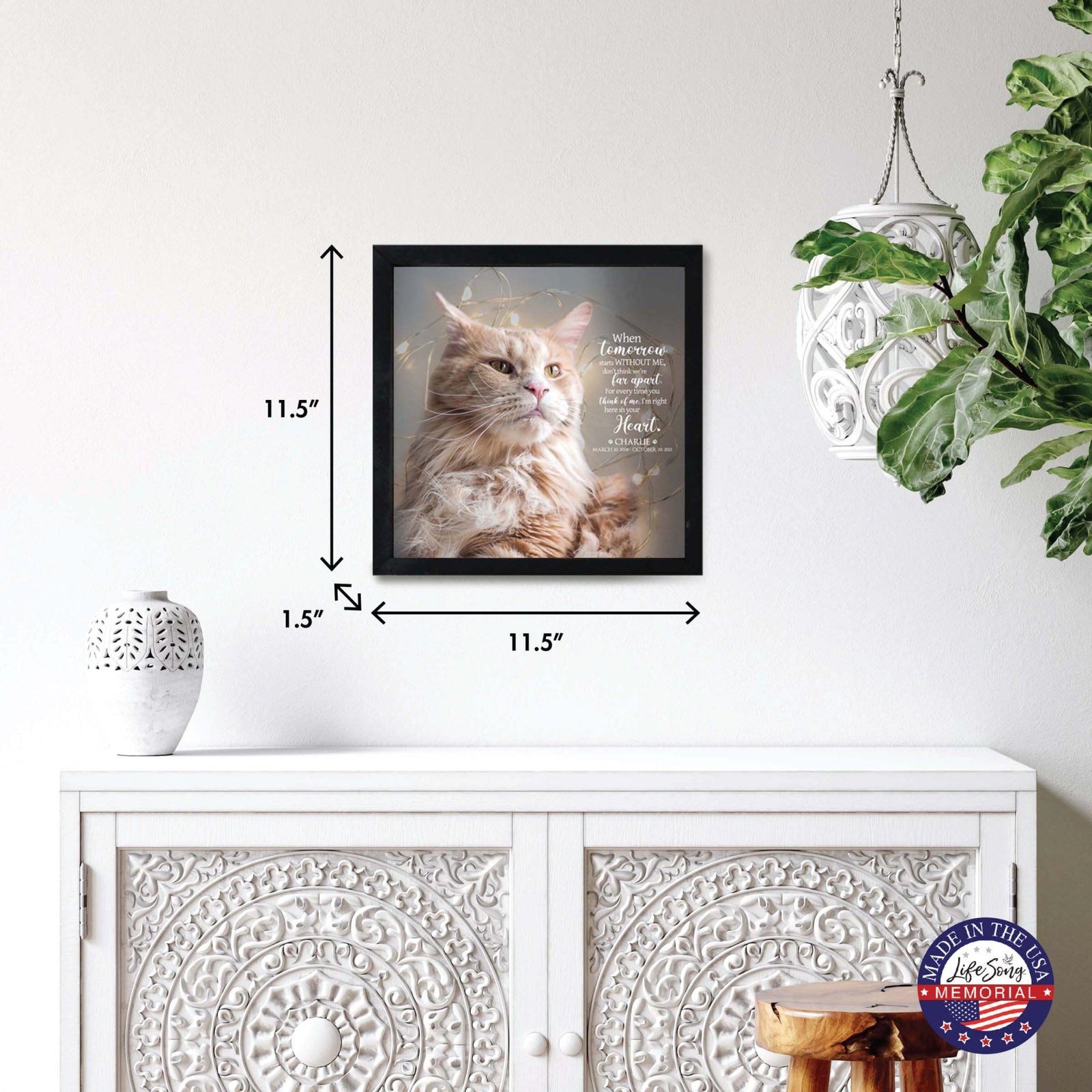 Custom Pet Memorial Framed Shadow Box Wall Décor for the Loss of Beloved Pet - When Tomorrow Starts - LifeSong Milestones