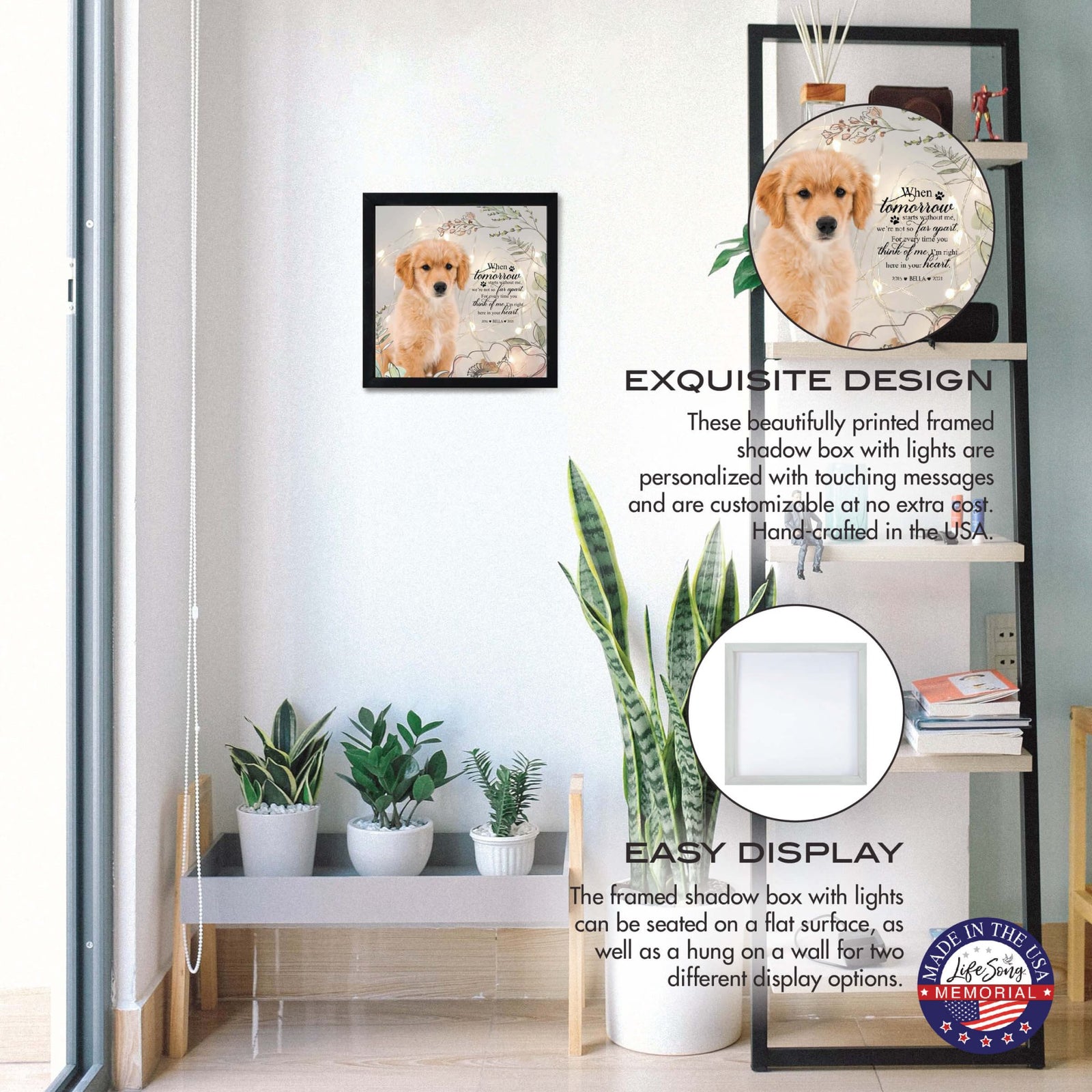 Custom Pet Memorial Framed Shadow Box Wall Décor for the Loss of Beloved Pet - When Tomorrow Starts - LifeSong Milestones