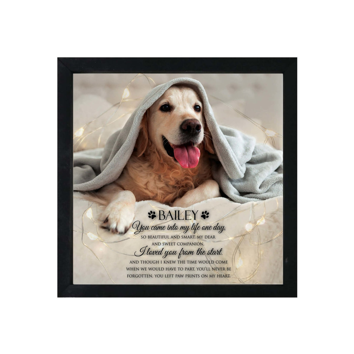 Custom Pet Memorial Framed Shadow Box Wall Décor for the Loss of Beloved Pet - You Came Into My Life