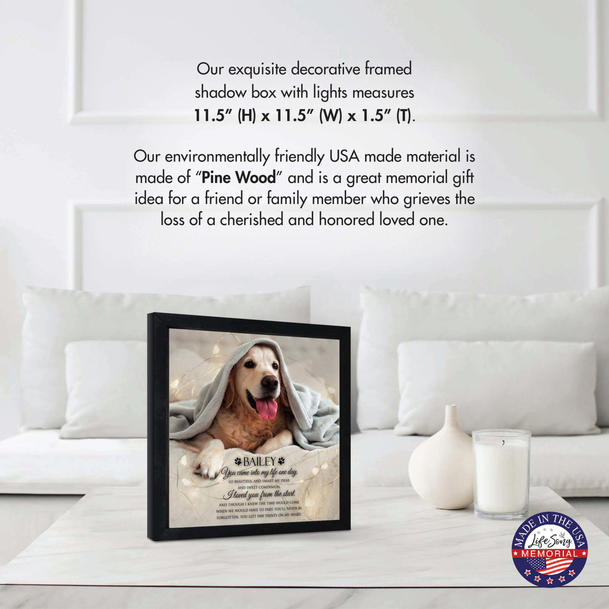 Custom Pet Memorial Framed Shadow Box Wall Décor for the Loss of Beloved Pet - You Came Into My Life