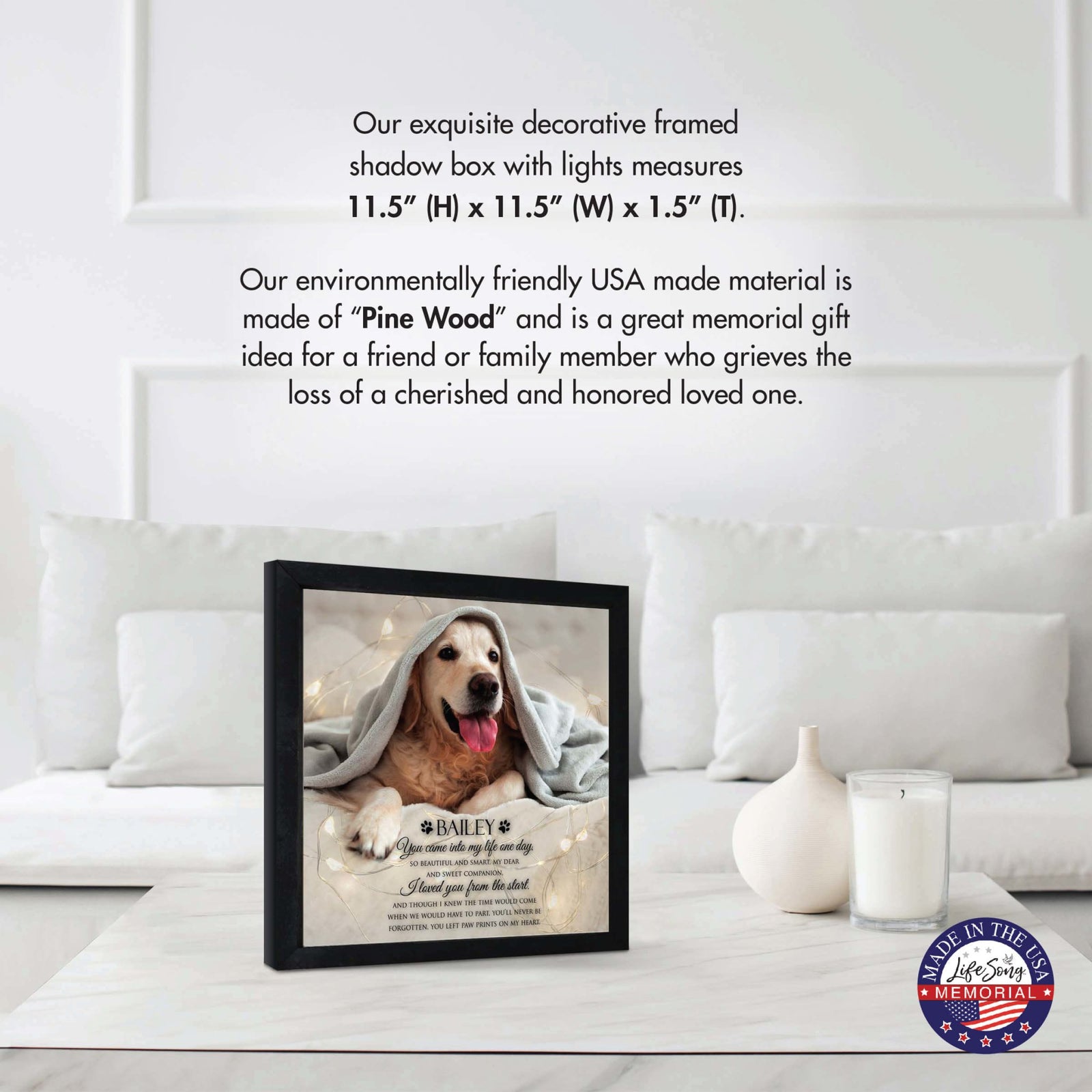 Custom Pet Memorial Framed Shadow Box Wall Décor for the Loss of Beloved Pet - You Came Into My Life