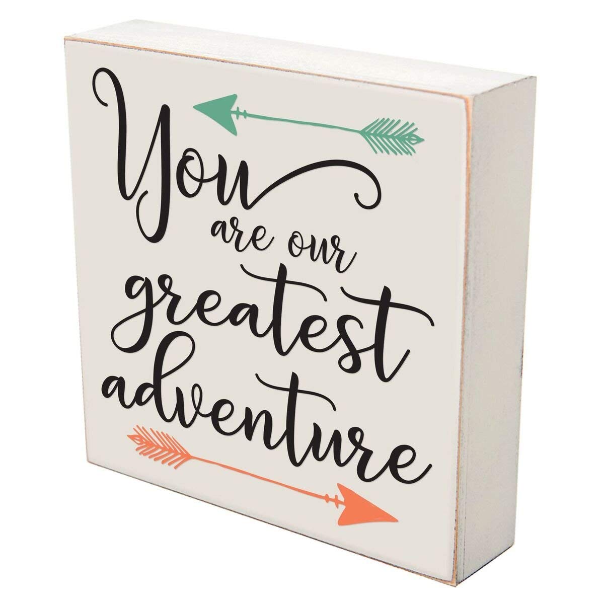 Digitally Printed Shadow Box Wall Decor - Our Greatest Adventure - LifeSong Milestones