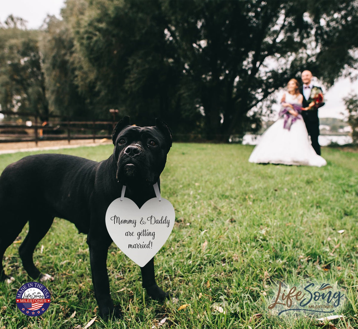 Digitally Printed Wedding Pet Heart Signs - Mommy & Daddy - LifeSong Milestones