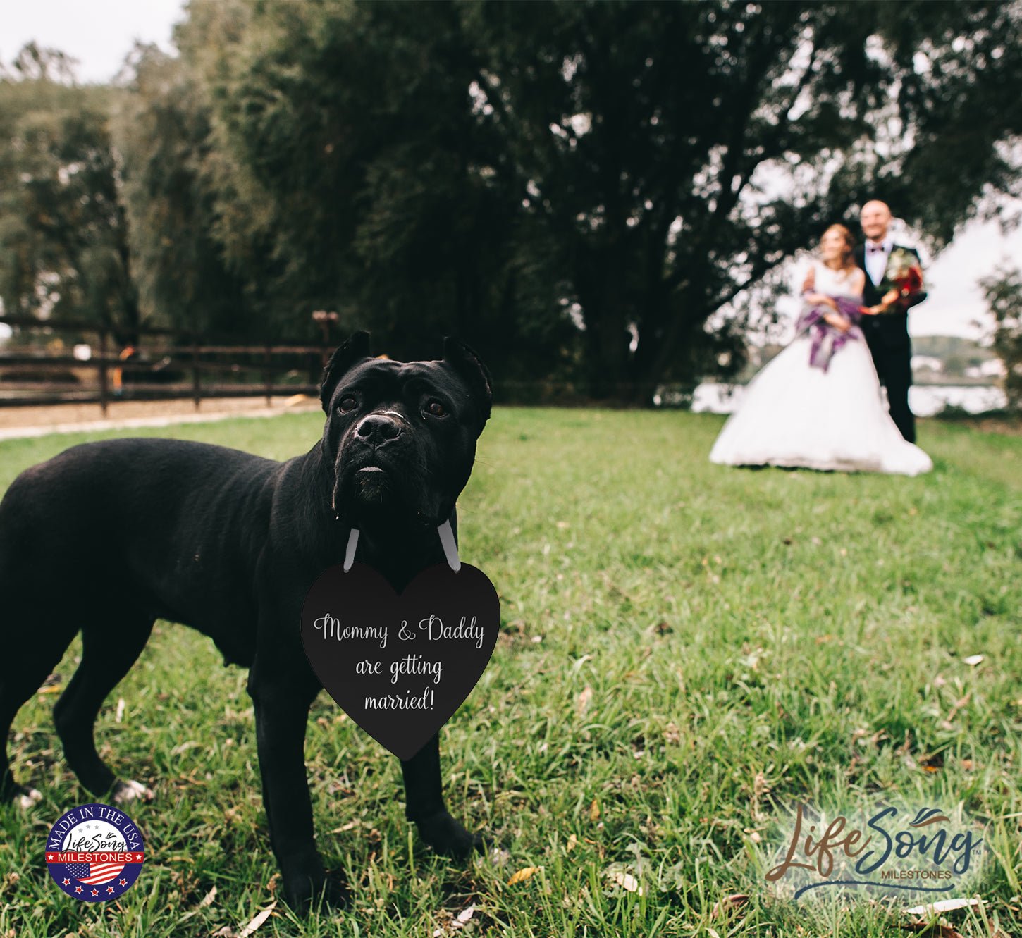 Digitally Printed Wedding Pet Heart Signs - Mommy & Daddy - LifeSong Milestones