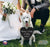 Digitally Printed Wedding Pet Heart Signs - Mommy & Daddy - LifeSong Milestones