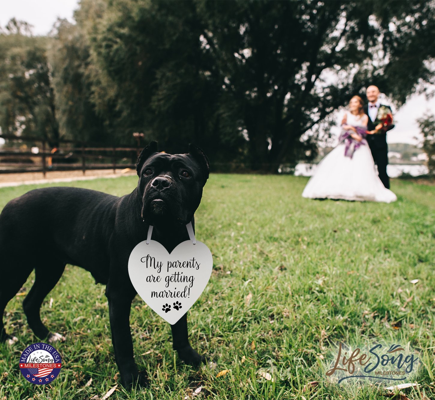 Digitally Printed Wedding Pet Heart Signs - My Parent’s Paws - LifeSong Milestones