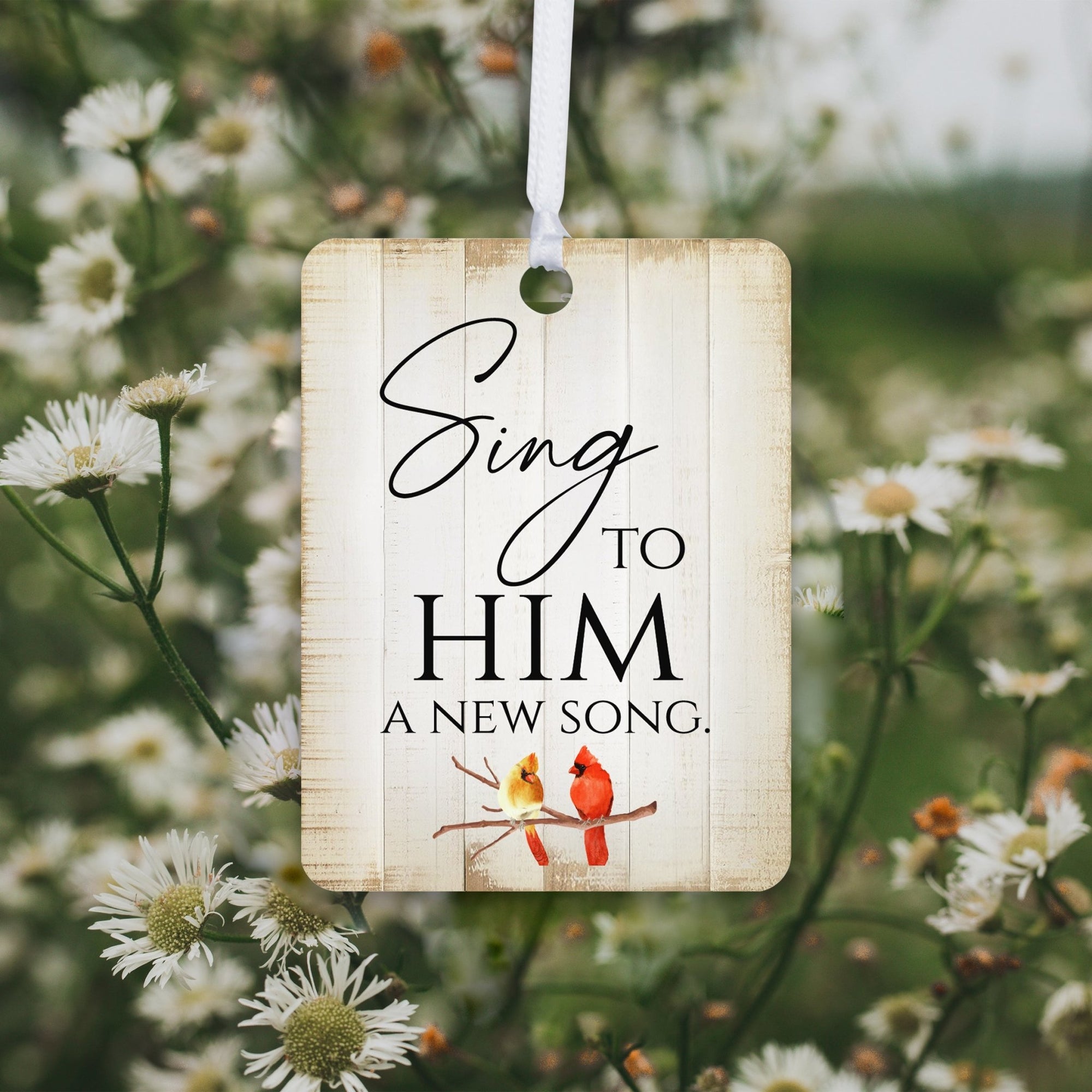Elegant Vertical Cardinal Wooden Ornament With Everyday Verses Gift Ideas - Sing To Him - LifeSong Milestones