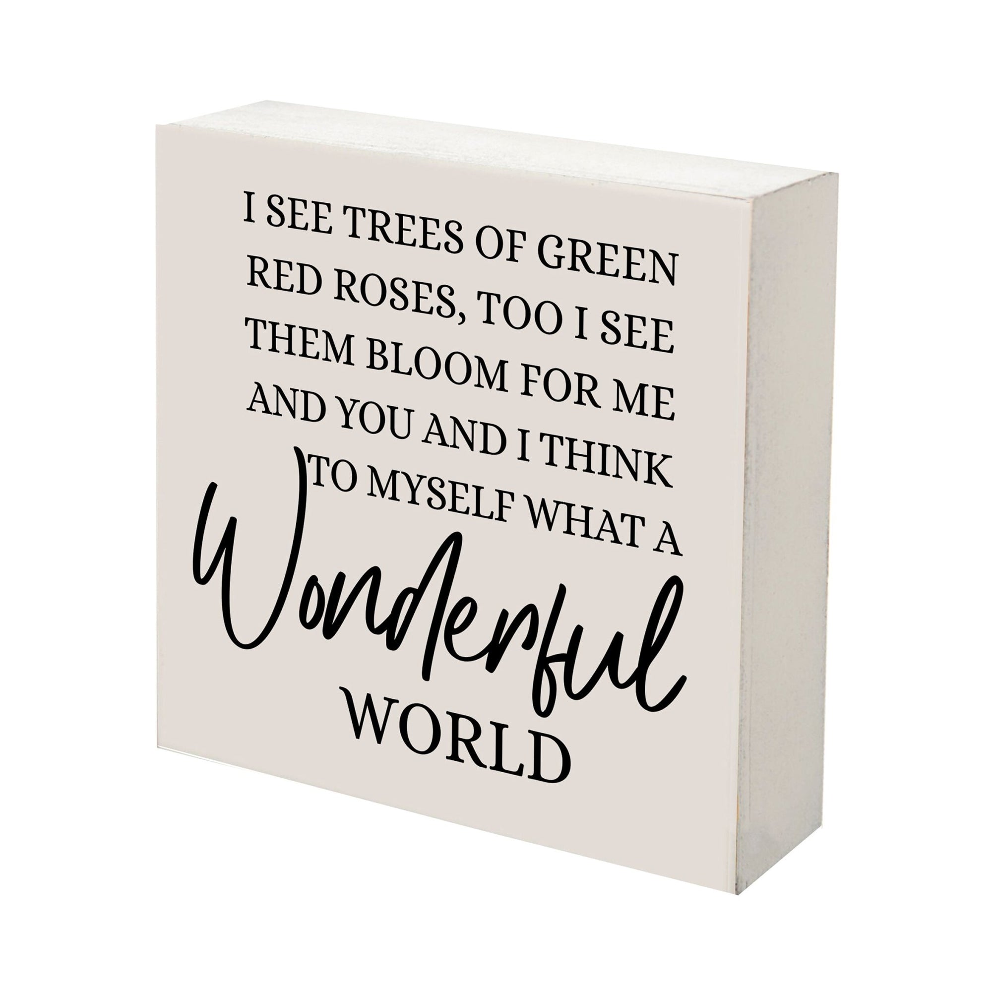 Inspirational 6x6 Shadow Box Wonderful World - LifeSong Milestones