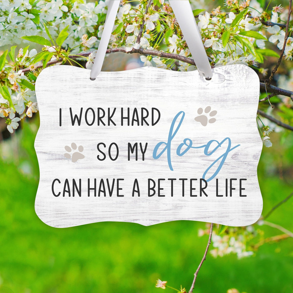 Inspirational Hanging Ribbon Wall Sign for Pet - LifeSong Milestones