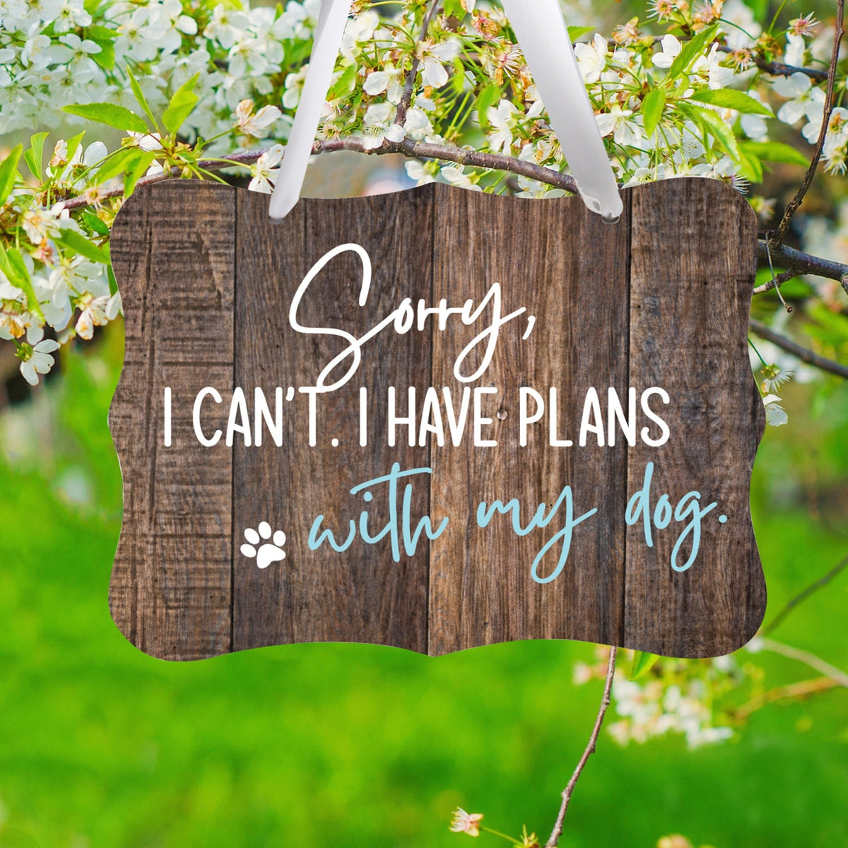 Inspirational Hanging Ribbon Wall Sign for Pet - LifeSong Milestones