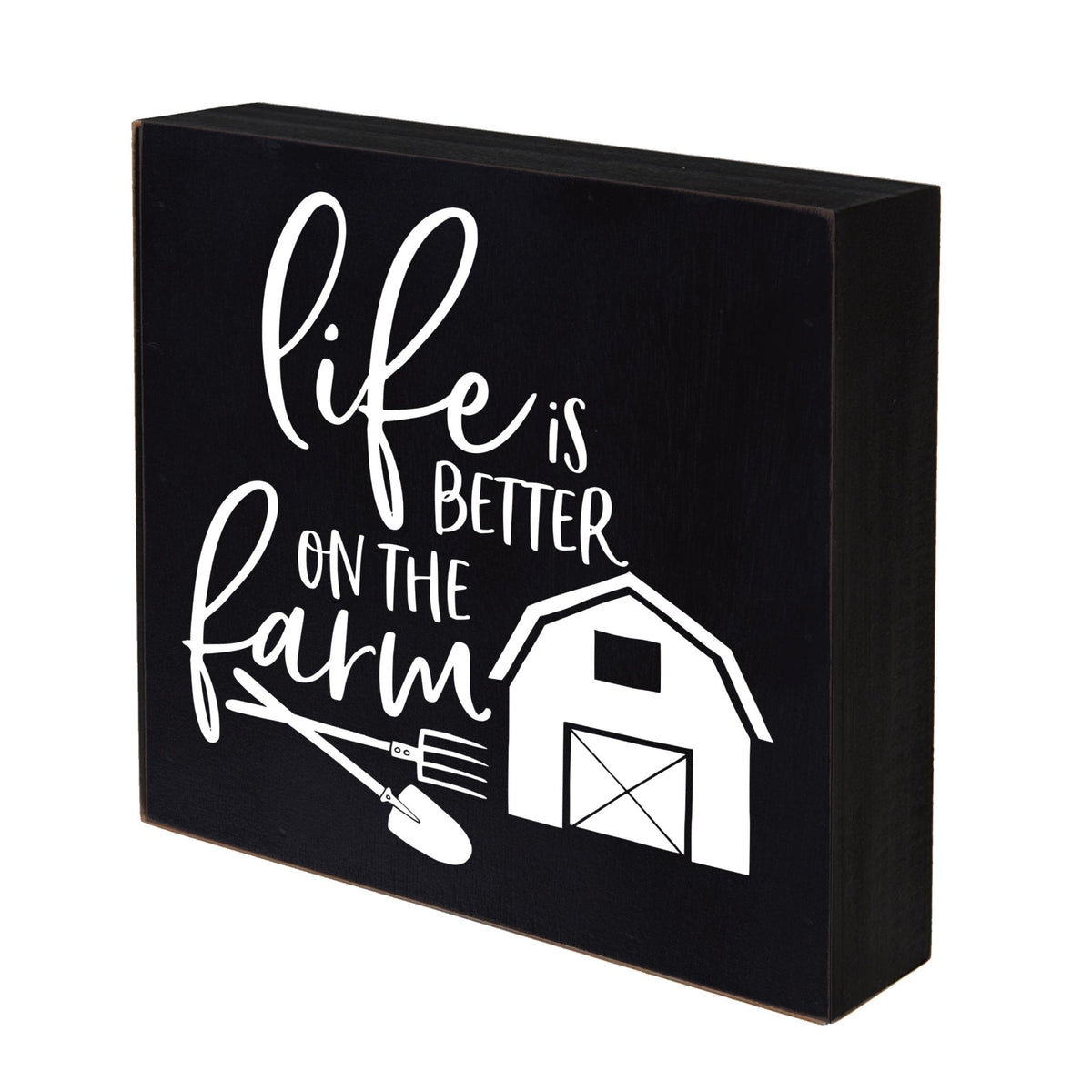 Inspiring Modern Framed Shadow Box 10x10 Life Is Better - LifeSong Milestones
