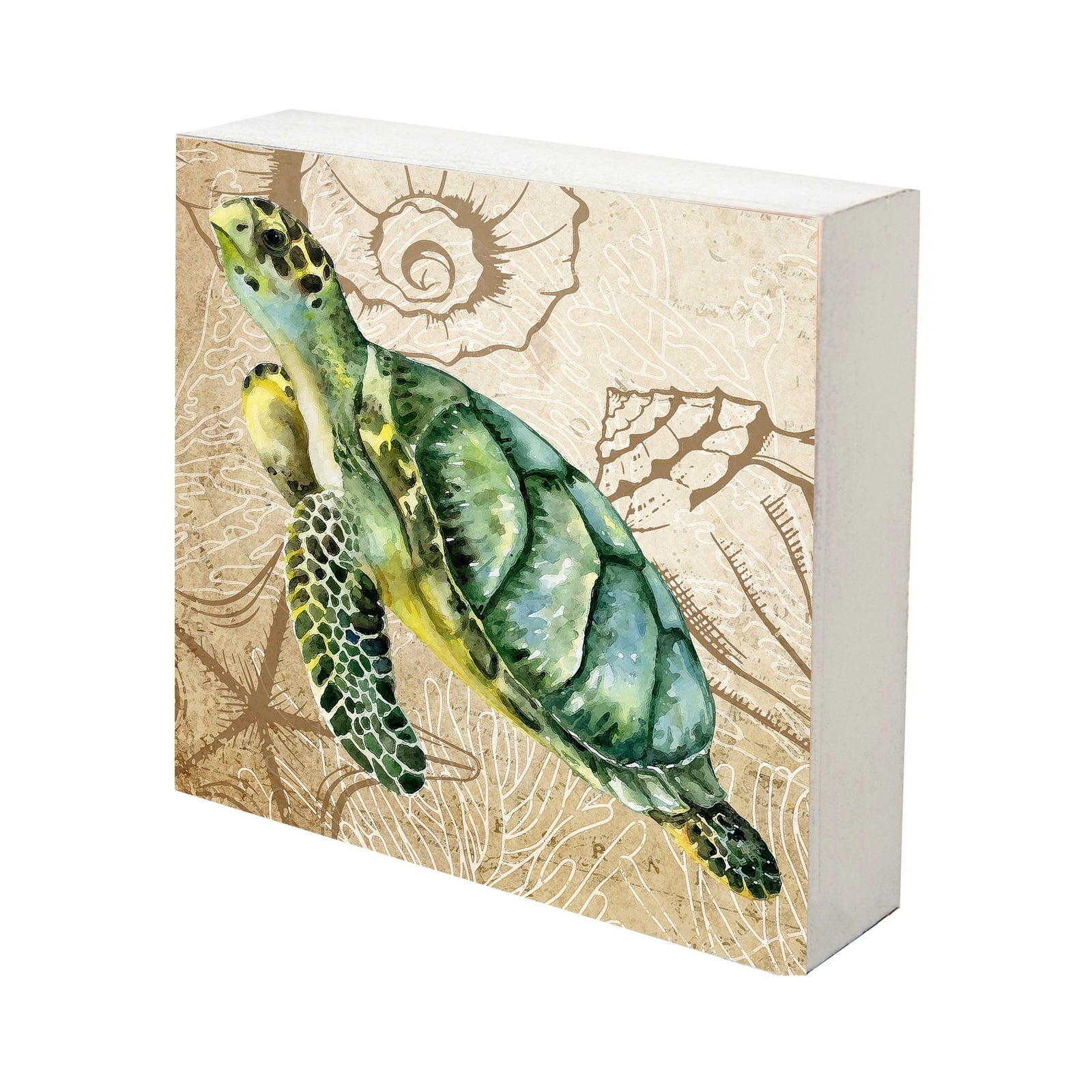 Modern Decorative Turtle Art Canvas Shadow Box - 10x10 - LifeSong Milestones