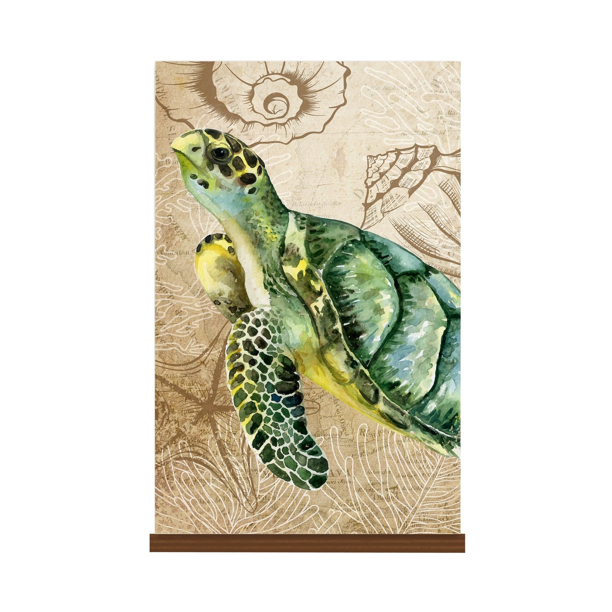 Modern Decorative Turtle Art Canvas Wall Sign with Base - 8x12 - LifeSong Milestones