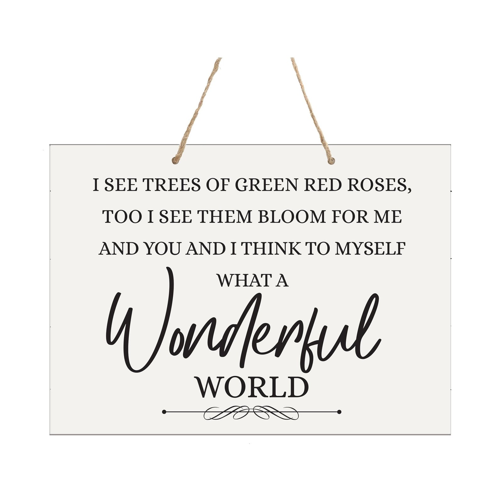 Modern Wooden Horizontal Wall Hanging Rope Sign 12x15 - Wonderful World - LifeSong Milestones