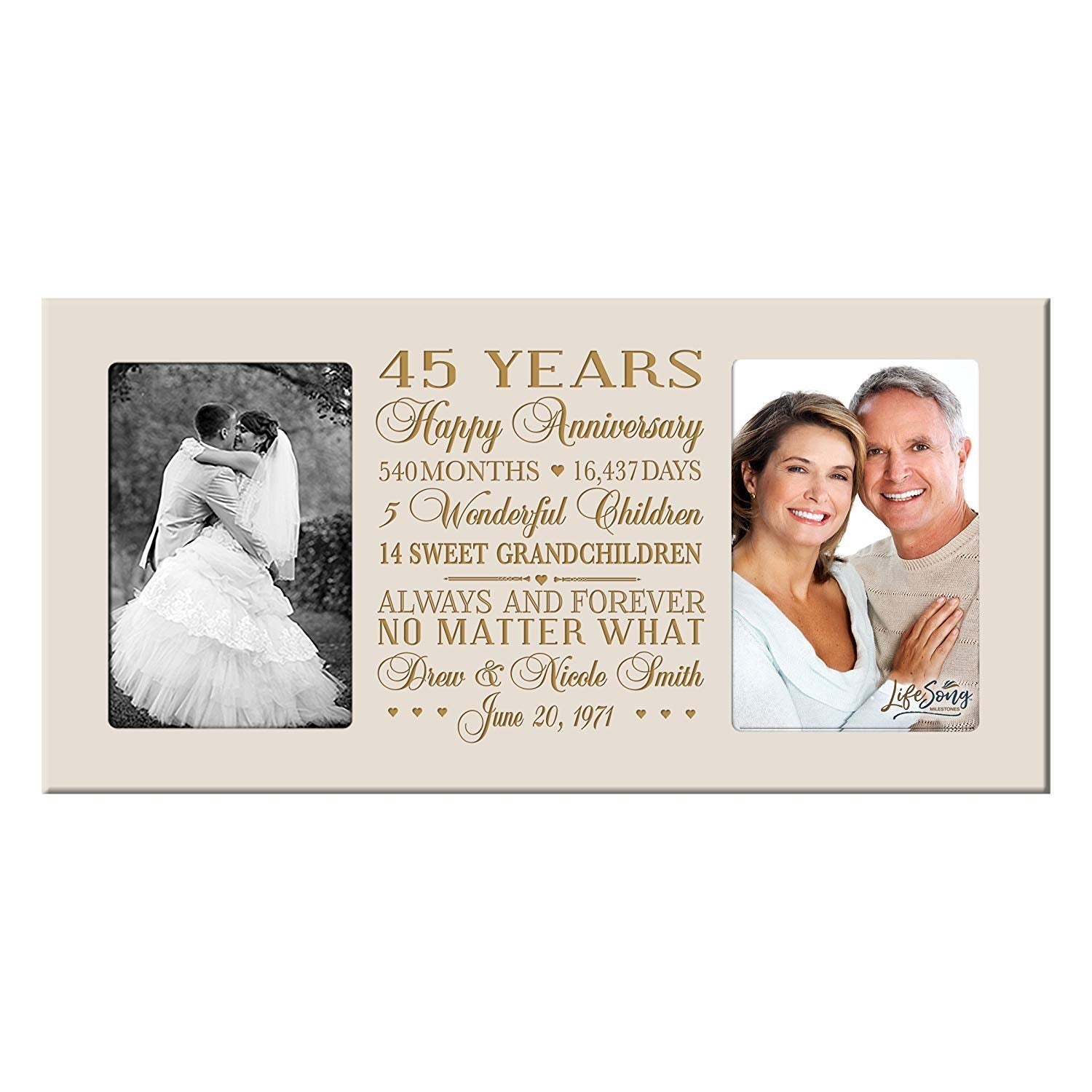 Personalized 45th Year Anniversary Double Photo Frame - LifeSong Milestones